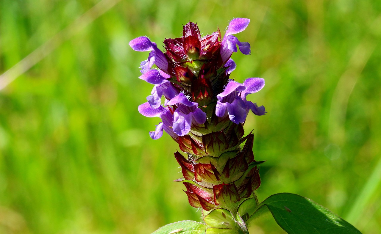 Self-heal