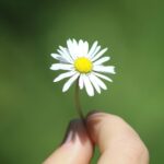 宮嶋あおば